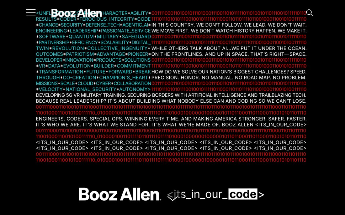 Booz Allen Hamilton - Strategic Cyber & Risk Advisory homepage
