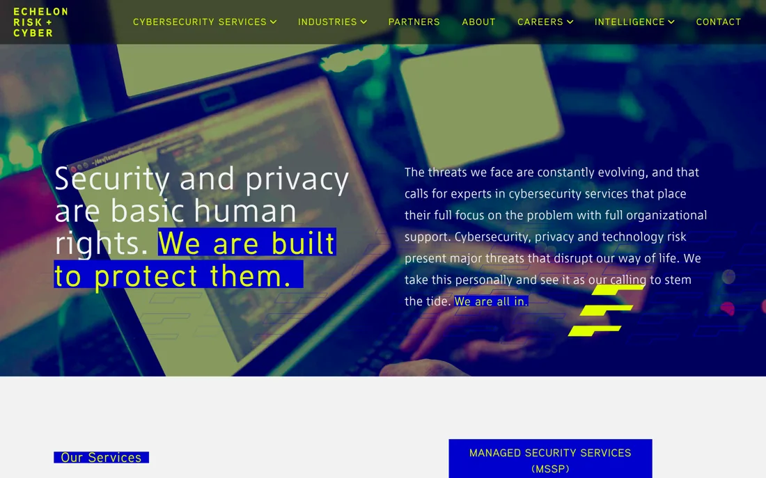 Echelon Risk + Cyber homepage