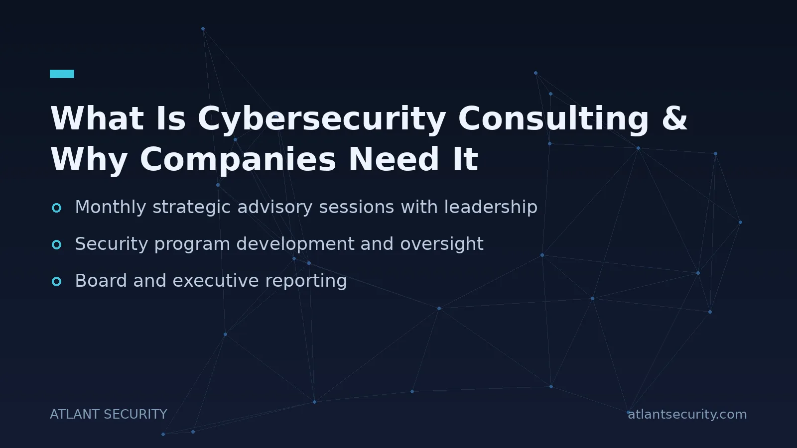 What Is Cybersecurity Consulting & Why Companies Need It - key points