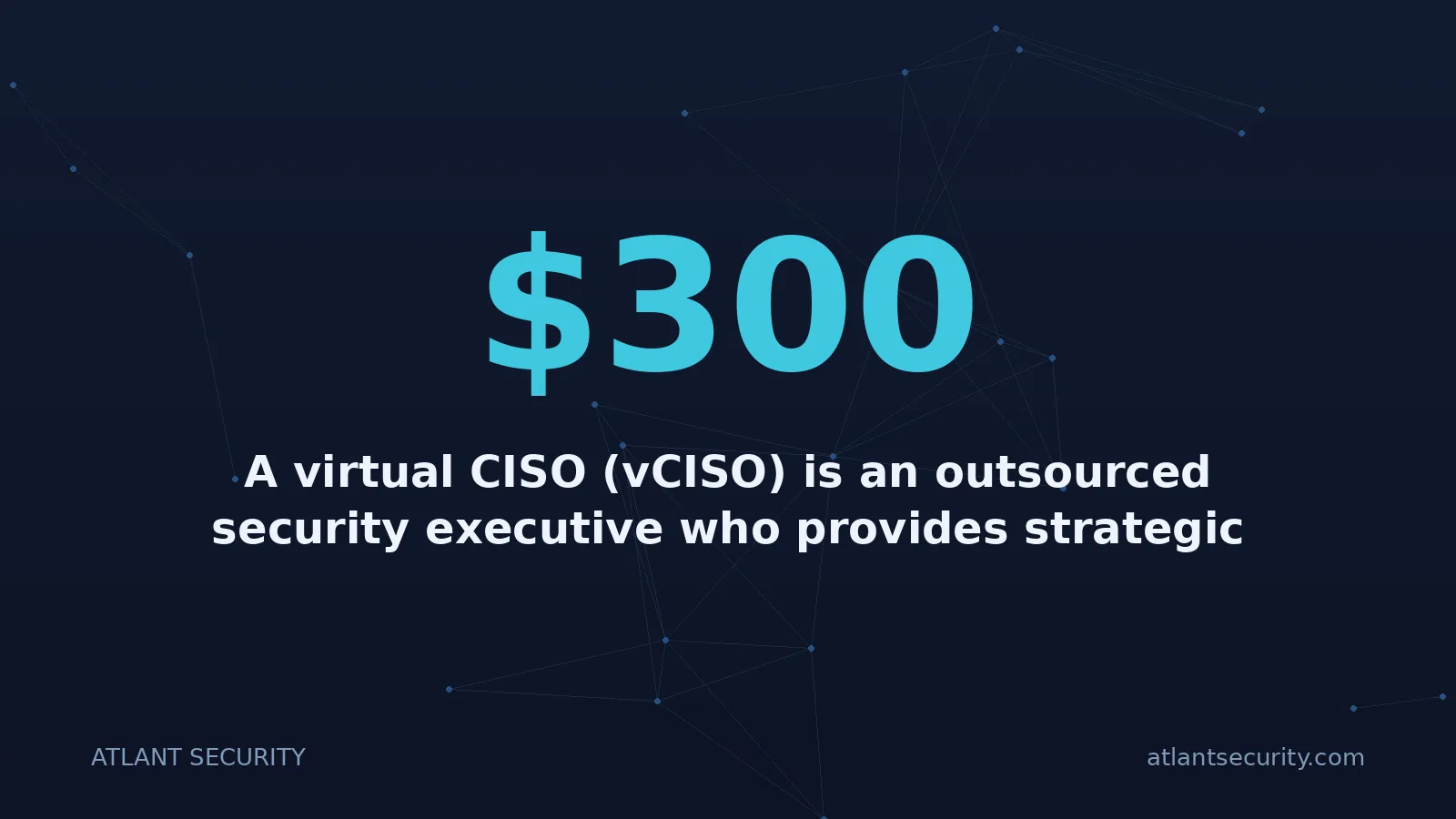 $300: A virtual CISO (vCISO) is an outsourced security executive who provides strategic cybersecurity lead