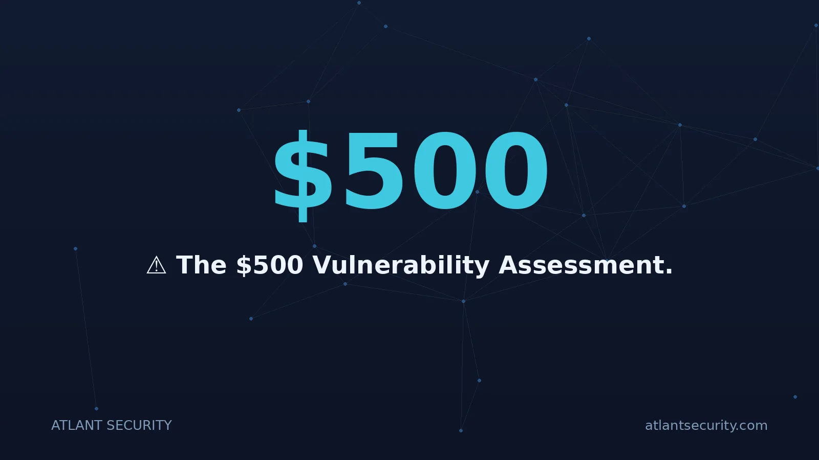 $500: ⚠️ The $500 Vulnerability Assessment.