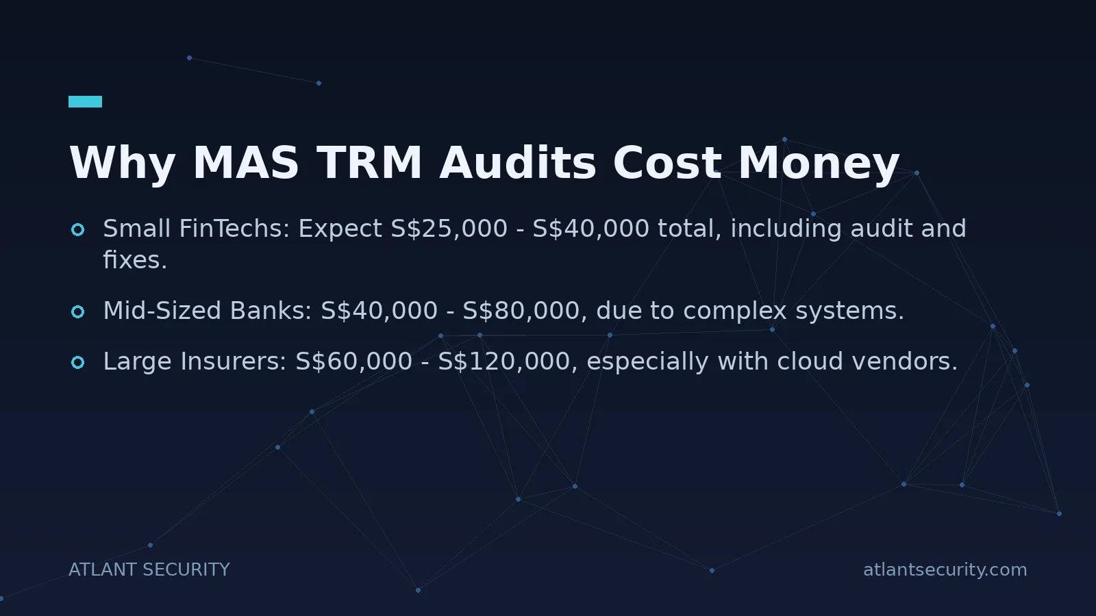 Why MAS TRM Audits Cost Money - key points