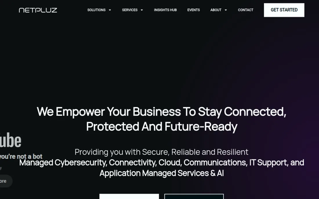 Netpluz Asia homepage, a cybersecurity provider serving Singapore
