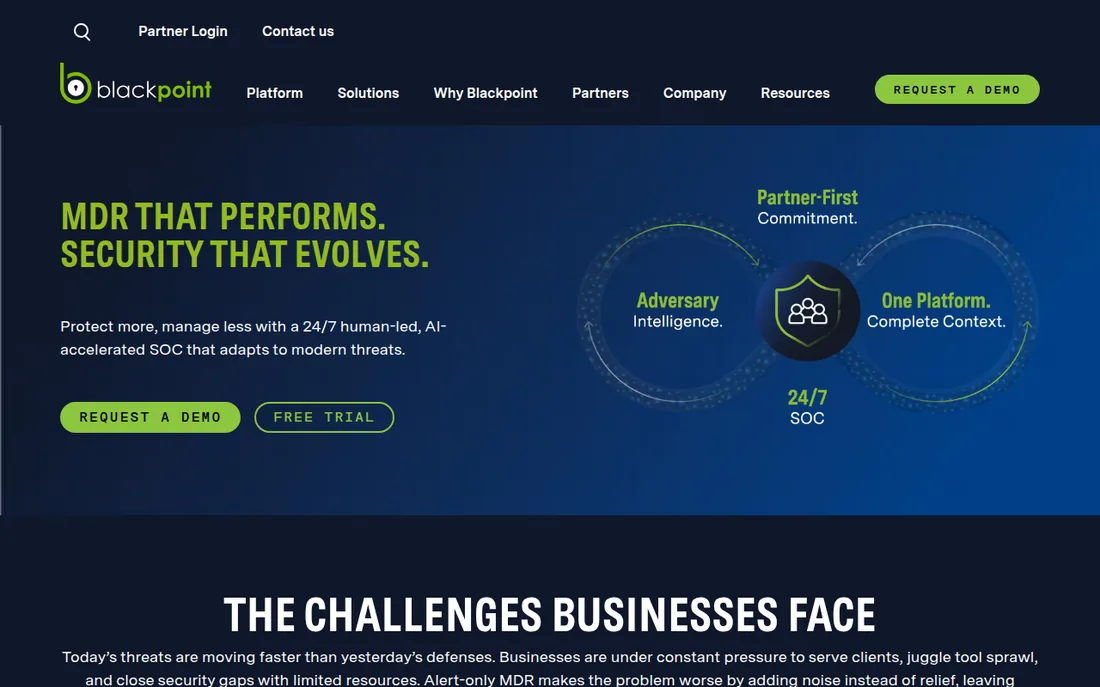 Blackpoint Cyber homepage