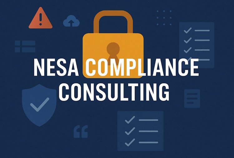 NESA Compliance Consulting for UAE Organisations: Scope, Steps and Cost