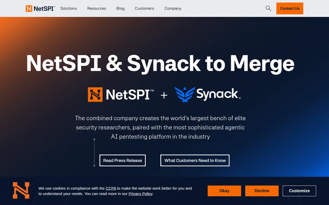NetSPI homepage