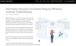 information security consultants require efficiency